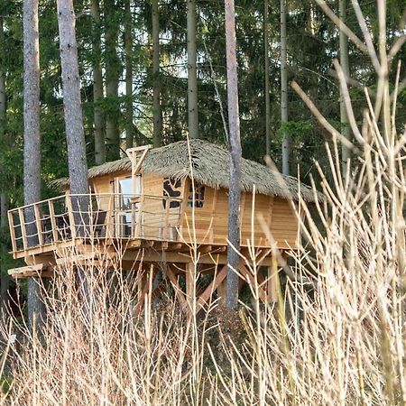 فندق Treehouse U Rybnika Osecna المظهر الخارجي الصورة