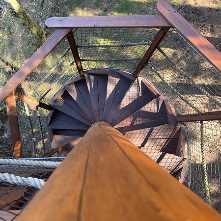 فندق Treehouse U Rybnika Osecna المظهر الخارجي الصورة