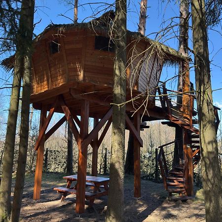 فندق Treehouse U Rybnika Osecna المظهر الخارجي الصورة