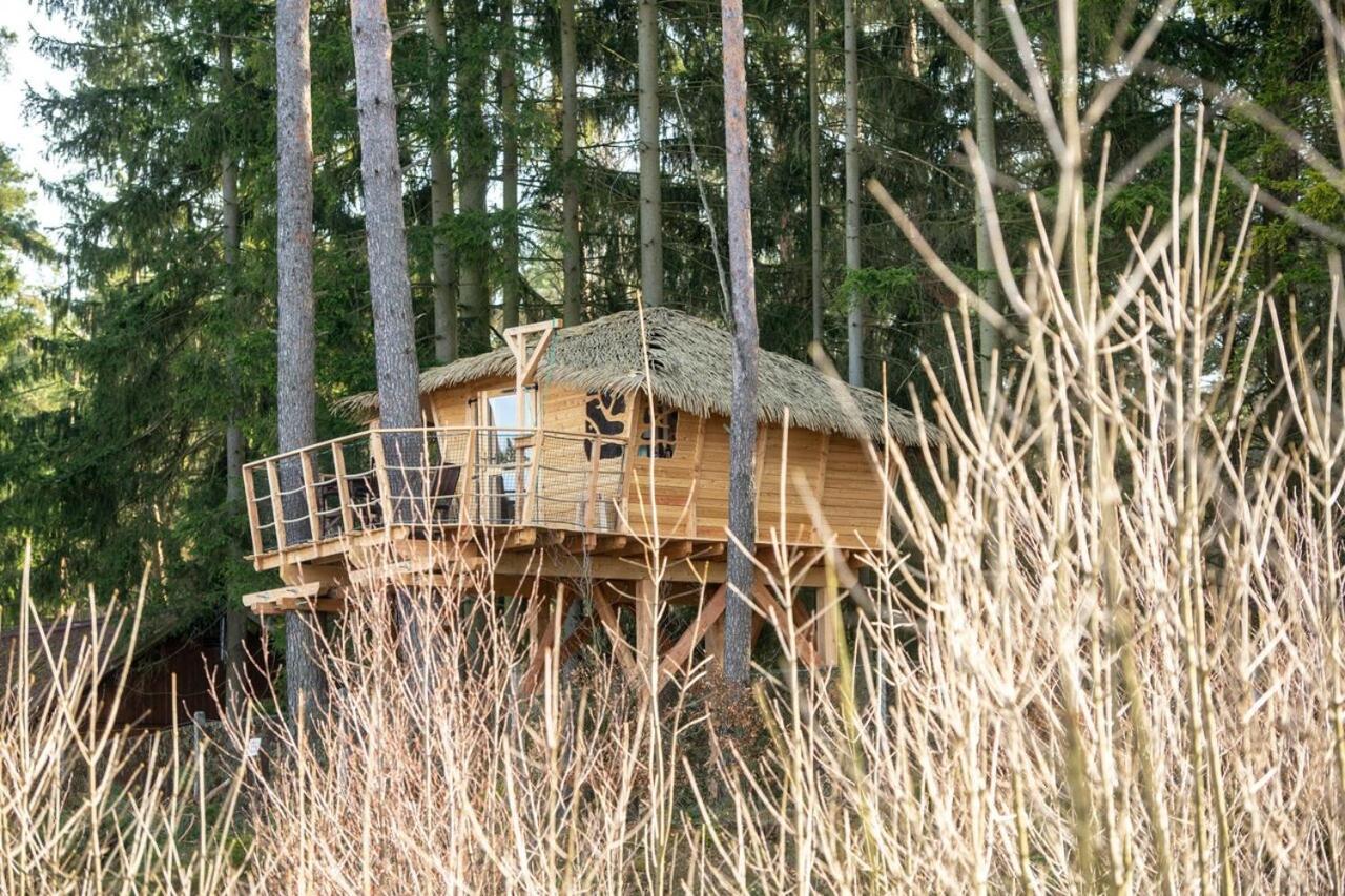 فندق Treehouse U Rybnika Osecna المظهر الخارجي الصورة