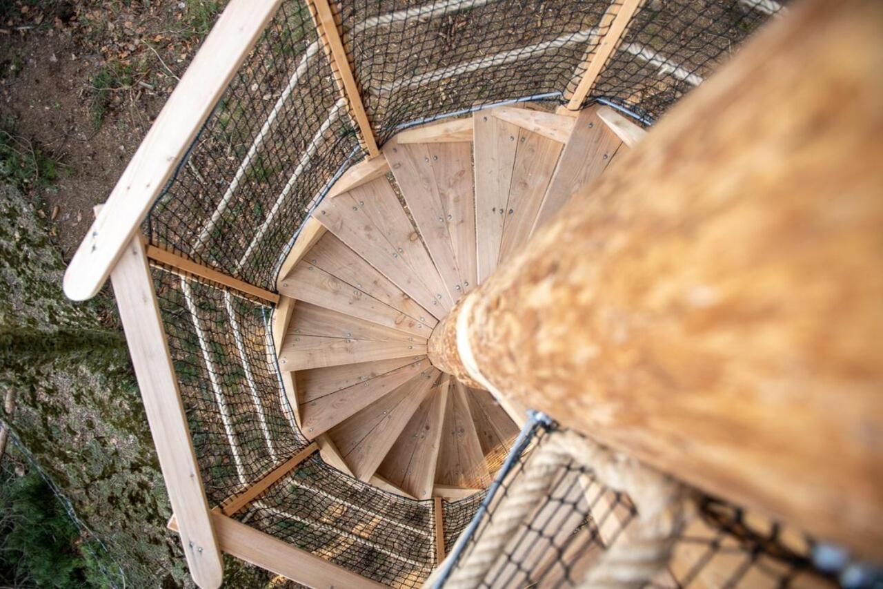 فندق Treehouse U Rybnika Osecna المظهر الخارجي الصورة