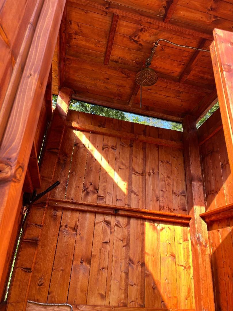 فندق Treehouse U Rybnika Osecna المظهر الخارجي الصورة